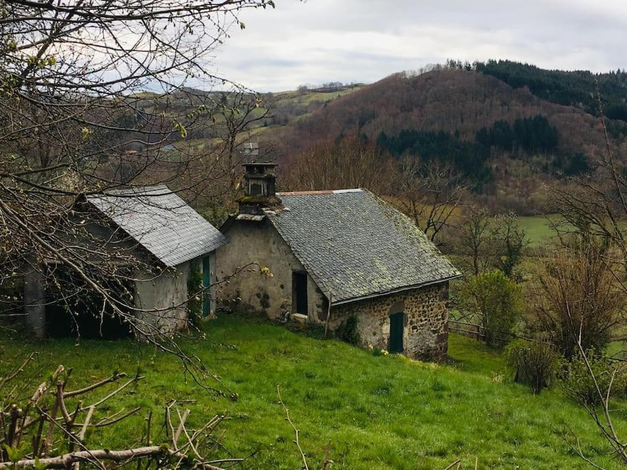 Ferienhaus Maison Auvergnate Traditionnelle Recemment Renovee